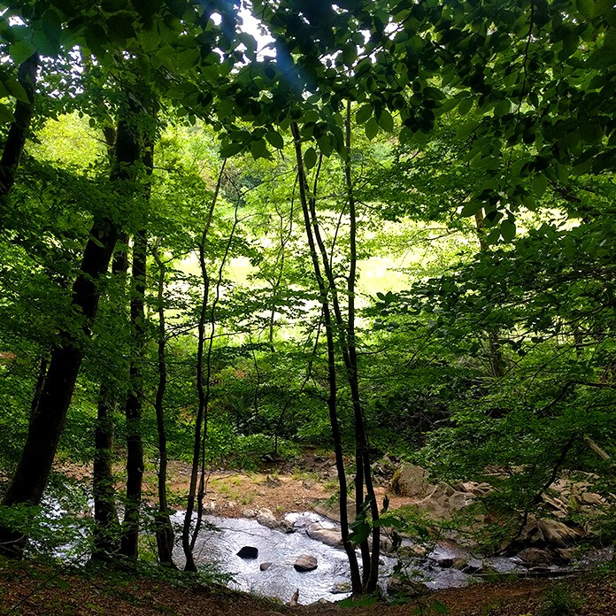 Vallon de l'Yzeron