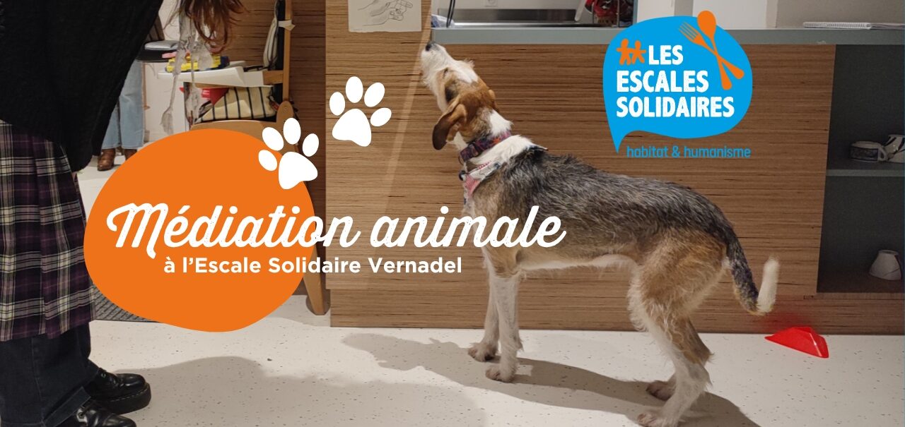 Médiation Animale à L’escale Solidaire (1) (1)